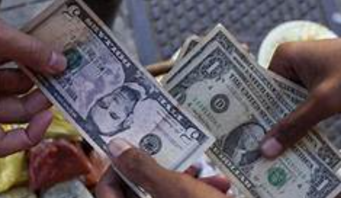 Dolarización Parcial de la Economia